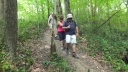 Saison 2011 2012
