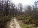 saison 2009 2010